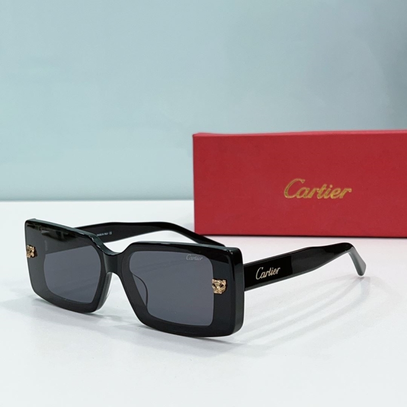 Cartier Sunglasses